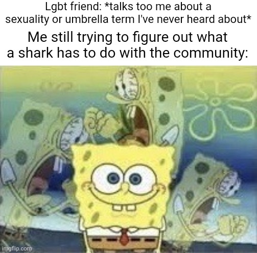 It's some shark plush called like bahaj or something. Or did I misunderstand? | Lgbt friend: *talks too me about a sexuality or umbrella term I've never heard about*; Me still trying to figure out what a shark has to do with the community: | image tagged in spongebob internal screaming | made w/ Imgflip meme maker