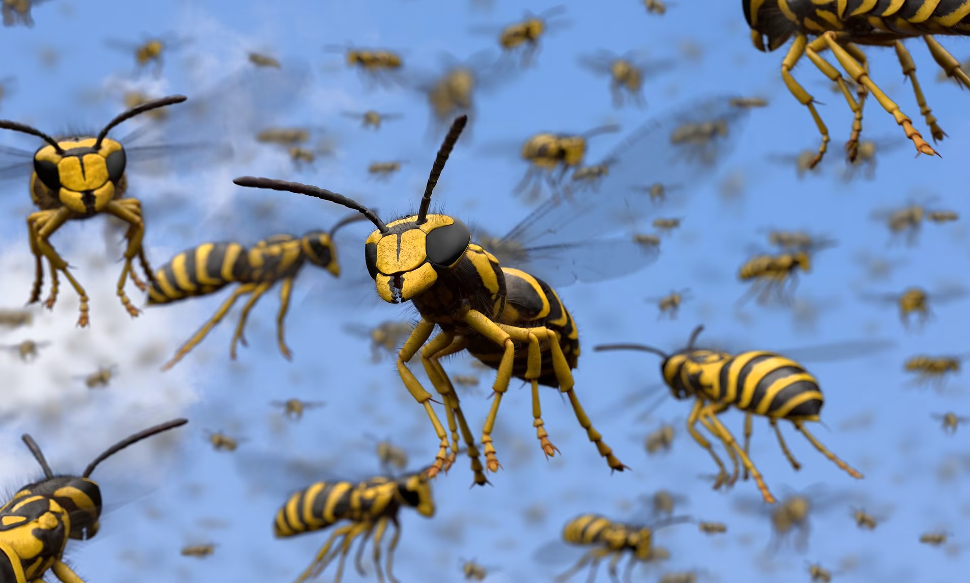 High Quality Wasp Swarm Blank Meme Template