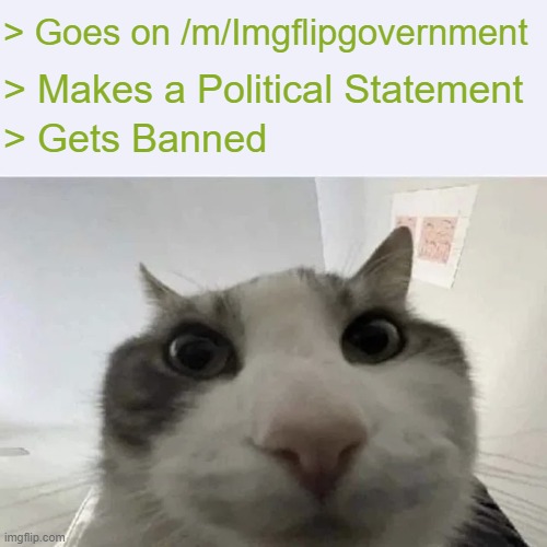 green text cat | > Goes on /m/Imgflipgovernment; > Makes a Political Statement; > Gets Banned | image tagged in green text cat | made w/ Imgflip meme maker