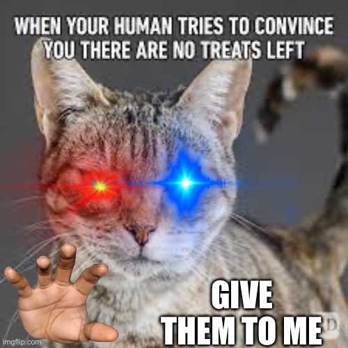 Hand ‘em over | GIVE THEM TO ME | image tagged in cats,ohhhhhhhhhhhh | made w/ Imgflip meme maker