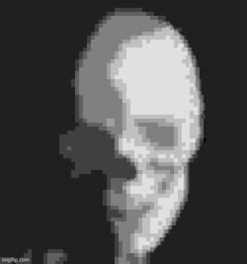 Skull | image tagged in skull | made w/ Imgflip meme maker