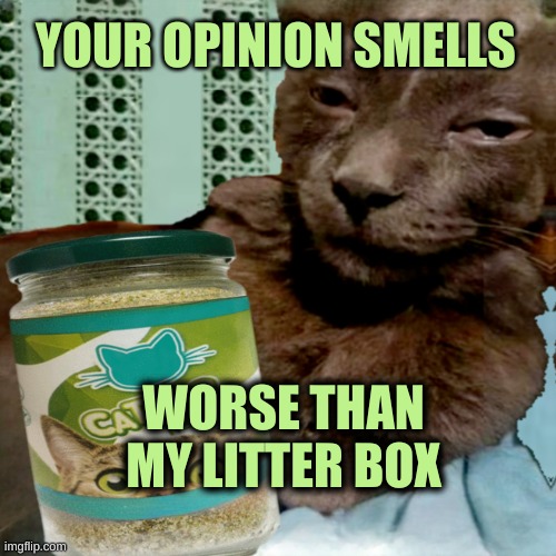 Choking on it. | YOUR OPINION SMELLS; WORSE THAN MY LITTER BOX | image tagged in ship osta 4 lyfe,opinions,smelly,litter box,poop | made w/ Imgflip meme maker
