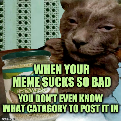 Politics? | WHEN YOUR MEME SUCKS SO BAD; YOU DON'T EVEN KNOW WHAT CATAGORY TO POST IT IN | image tagged in ship osta 4 lyfe,this is where i'd put my trophy if i had one,heavy breathing cat,bad memes,shitpost,that face you make when | made w/ Imgflip meme maker