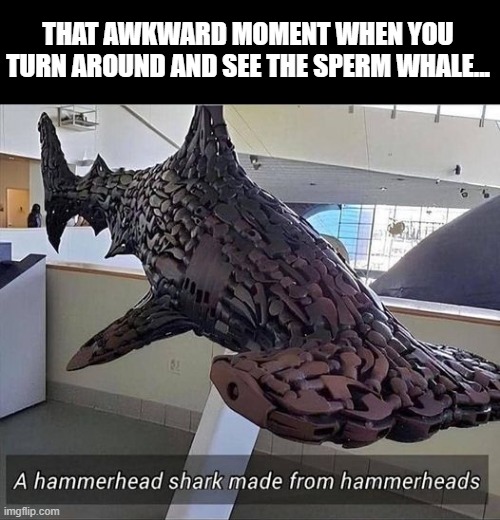 Now That's Scary | THAT AWKWARD MOMENT WHEN YOU TURN AROUND AND SEE THE SPERM WHALE... | image tagged in dark humor | made w/ Imgflip meme maker