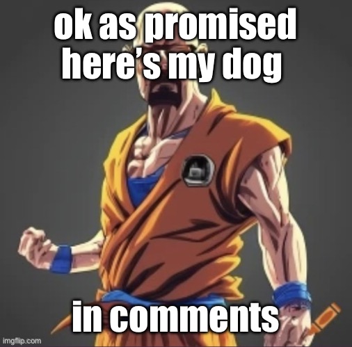 saiyan waltuh | ok as promised here’s my dog; in comments | image tagged in saiyan waltuh | made w/ Imgflip meme maker