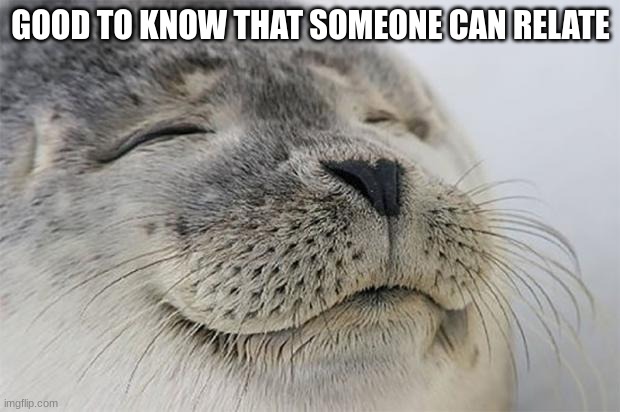 Satisfied Seal Meme | GOOD TO KNOW THAT SOMEONE CAN RELATE | image tagged in memes,satisfied seal | made w/ Imgflip meme maker