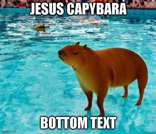 JESUS CAPYBARA; BOTTOM TEXT | made w/ Imgflip meme maker