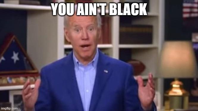 Joe Biden You Ain't Black | YOU AIN'T BLACK | image tagged in joe biden you ain't black | made w/ Imgflip meme maker