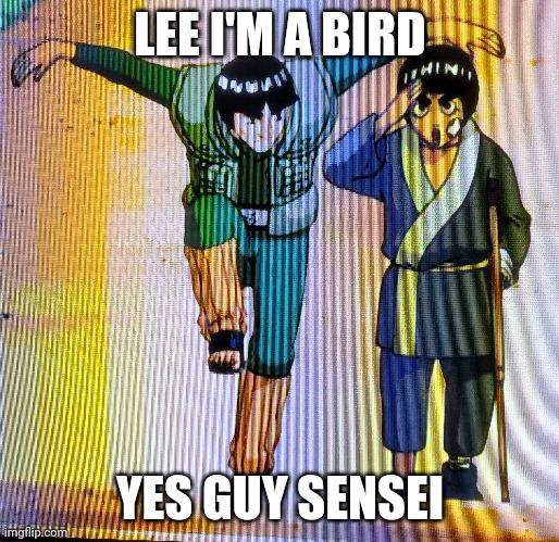 LEE I'M A BIRD; YES GUY SENSEI | image tagged in naruto | made w/ Imgflip meme maker