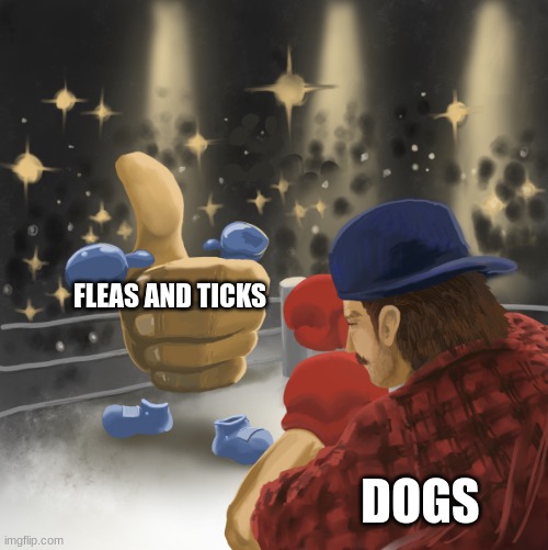 Dogs vs Parasites | FLEAS AND TICKS; DOGS | image tagged in mrballen vs the like button | made w/ Imgflip meme maker