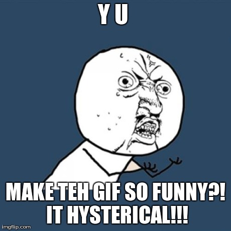 Y U No Meme | Y U  MAKE TEH GIF SO FUNNY?! IT HYSTERICAL!!! | image tagged in memes,y u no | made w/ Imgflip meme maker