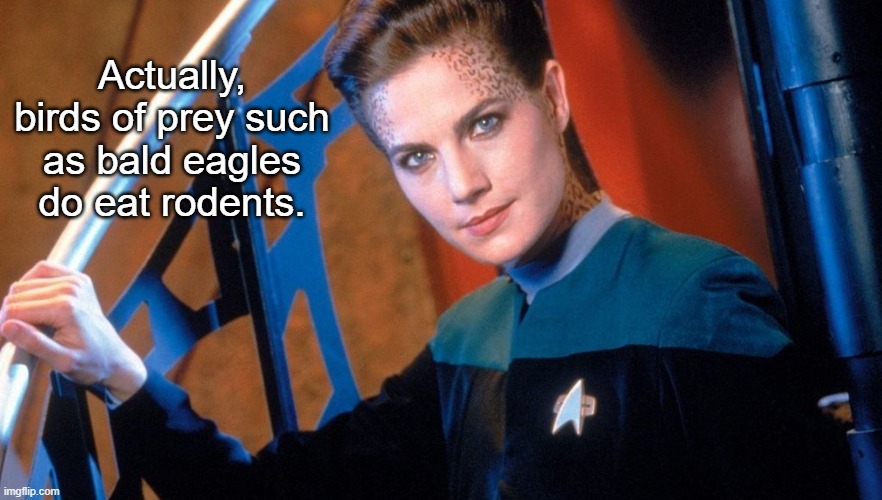 Jadzia Dax | Actually, birds of prey such as bald eagles do eat rodents. | image tagged in jadzia dax | made w/ Imgflip meme maker