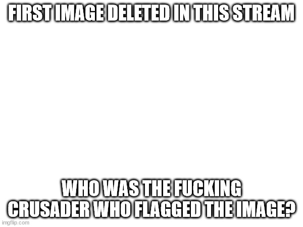 bruh | FIRST IMAGE DELETED IN THIS STREAM; WHO WAS THE FUCKING CRUSADER WHO FLAGGED THE IMAGE? | image tagged in delete,hentai | made w/ Imgflip meme maker