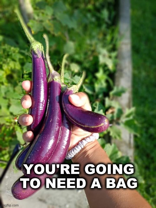 Deeks | YOU'RE GOING TO NEED A BAG | image tagged in bag,eggplant,suck,suck it,scumbag,going to need a bigger boat | made w/ Imgflip meme maker