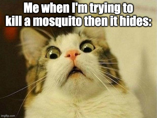 Scared Cat Meme | Me when I'm trying to kill a mosquito then it hides: | image tagged in memes,scared cat,mosquitoes | made w/ Imgflip meme maker
