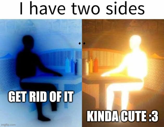 I have 2 sides | GET RID OF IT KINDA CUTE :3 | image tagged in i have 2 sides | made w/ Imgflip meme maker