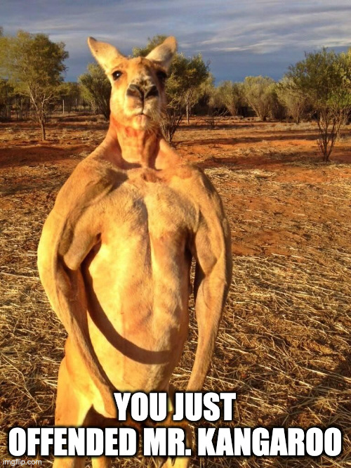 Buff Kangaroo | YOU JUST OFFENDED MR. KANGAROO | image tagged in buff kangaroo | made w/ Imgflip meme maker