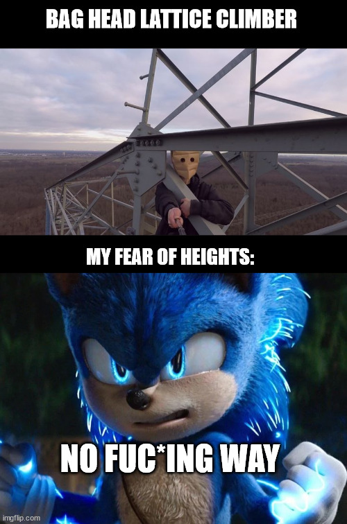 Sonic The Hedgehog, meme | BAG HEAD LATTICE CLIMBER; MY FEAR OF HEIGHTS:; NO FUC*ING WAY | image tagged in sonic,latticeclimbing,climber,meme,germany,hedgehog | made w/ Imgflip meme maker