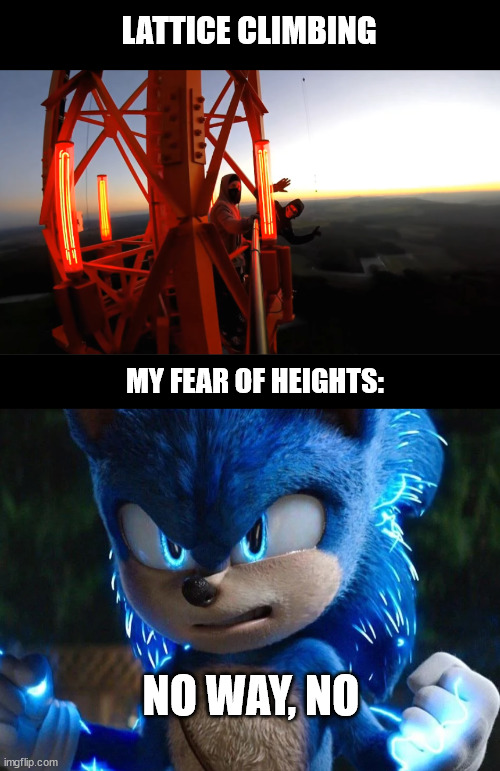 Sonic, climbing meme | LATTICE CLIMBING; MY FEAR OF HEIGHTS:; NO WAY, NO | image tagged in sonic lattice climbing,sonic the hedgehog,latticeclimbing,germany,template | made w/ Imgflip meme maker