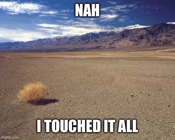 desert tumbleweed | NAH I TOUCHED IT ALL | image tagged in desert tumbleweed | made w/ Imgflip meme maker