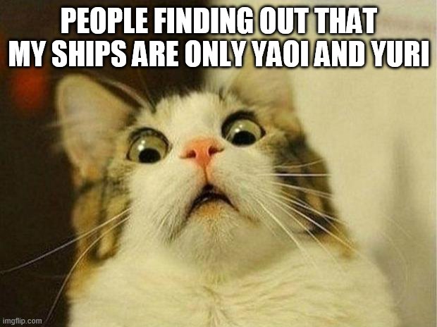 -.- | PEOPLE FINDING OUT THAT MY SHIPS ARE ONLY YAOI AND YURI | image tagged in memes,scared cat,anime,ship,yaoi,yuri | made w/ Imgflip meme maker