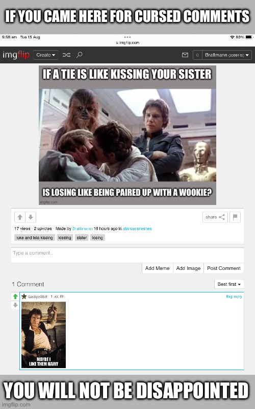 Wookie love? | IF YOU CAME HERE FOR CURSED COMMENTS; YOU WILL NOT BE DISAPPOINTED | image tagged in cursed,wookie,kiss | made w/ Imgflip meme maker