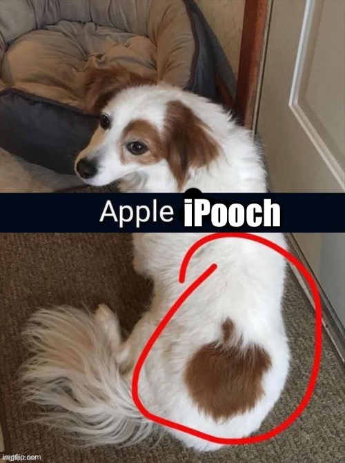 iPooch | iPooch | image tagged in dog,apple | made w/ Imgflip meme maker