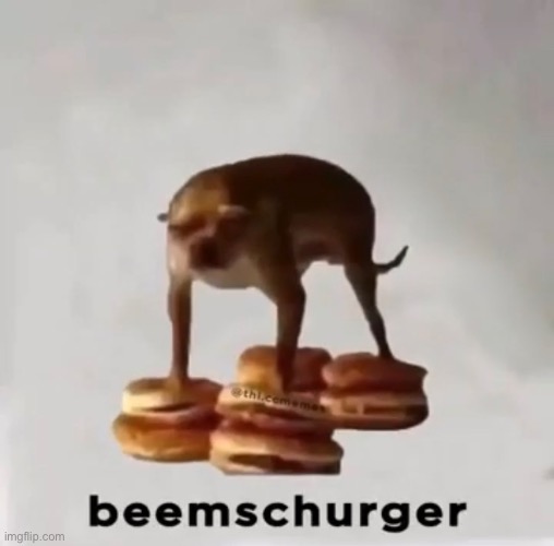 Beemschurger | image tagged in beemschurger | made w/ Imgflip meme maker