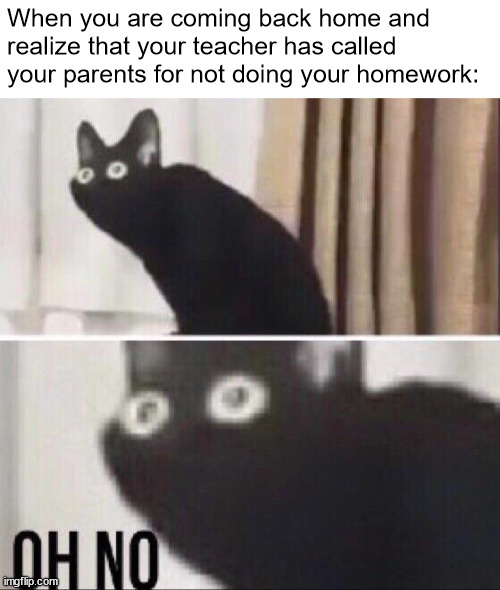 Actually this has never happened to me but a similar thing happened | When you are coming back home and realize that your teacher has called your parents for not doing your homework: | image tagged in oh no cat,relatable memes,so true memes | made w/ Imgflip meme maker