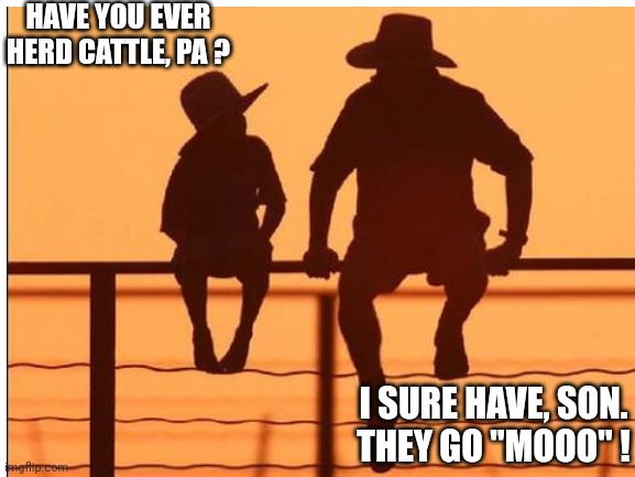 Try this in a small town | HAVE YOU EVER HERD CATTLE, PA ? I SURE HAVE, SON.
THEY GO "MOOO" ! | image tagged in cowboy father and son,dad jokes,puns | made w/ Imgflip meme maker