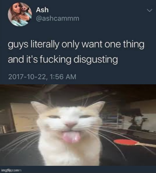 Guys literally only want one thing... | image tagged in guys literally only want one thing | made w/ Imgflip meme maker
