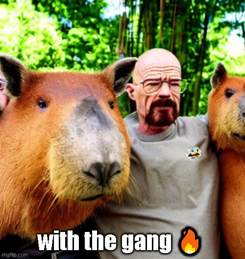 with the gang 🔥 | made w/ Imgflip meme maker