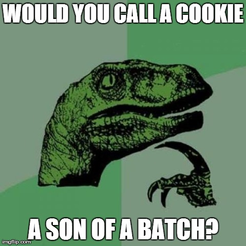 When someone bad at puns takes a cooking class. | WOULD YOU CALL A COOKIE A SON OF A BATCH? | image tagged in memes,philosoraptor | made w/ Imgflip meme maker