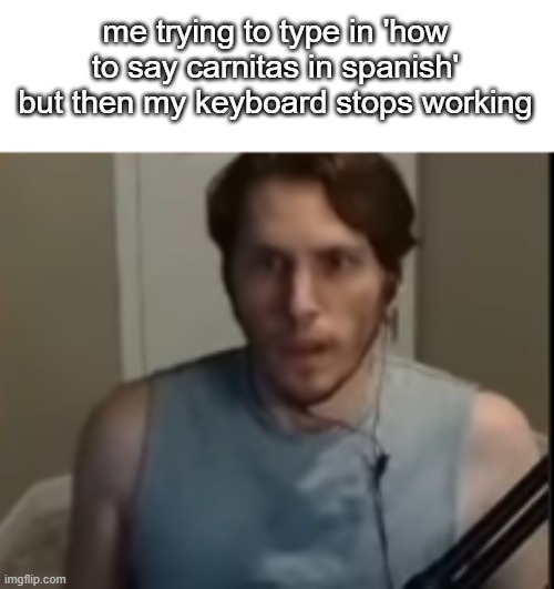 b | me trying to type in 'how to say carnitas in spanish' but then my keyboard stops working | image tagged in jerma schock | made w/ Imgflip meme maker