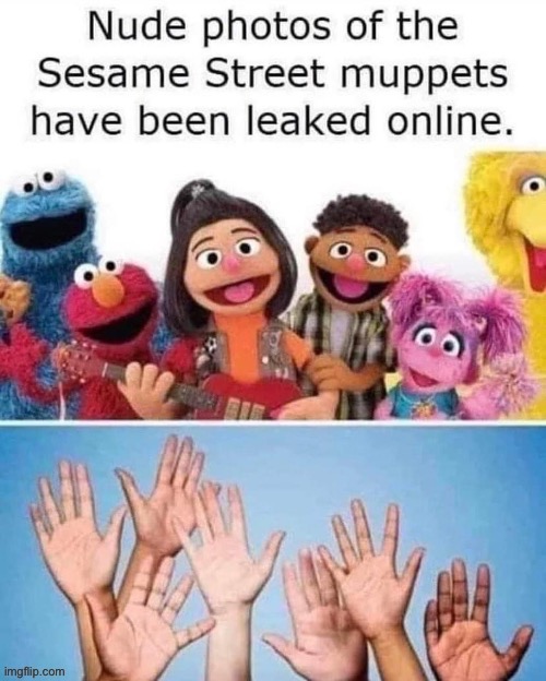 Muppets | image tagged in muppets,nudes,pictures | made w/ Imgflip meme maker