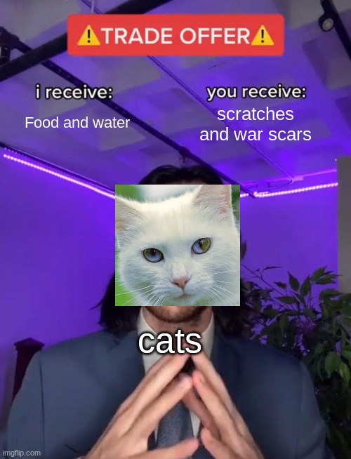 cats | Food and water; scratches and war scars; cats | image tagged in trade offer,funny memes,memes,cats,humor | made w/ Imgflip meme maker
