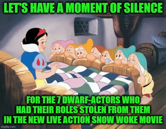 No Major Motion Picture Roles for You & Your Stature | LET'S HAVE A MOMENT OF SILENCE; FOR THE 7 DWARF-ACTORS WHO HAD THEIR ROLES STOLEN FROM THEM IN THE NEW LIVE ACTION SNOW WOKE MOVIE | image tagged in snow white | made w/ Imgflip meme maker