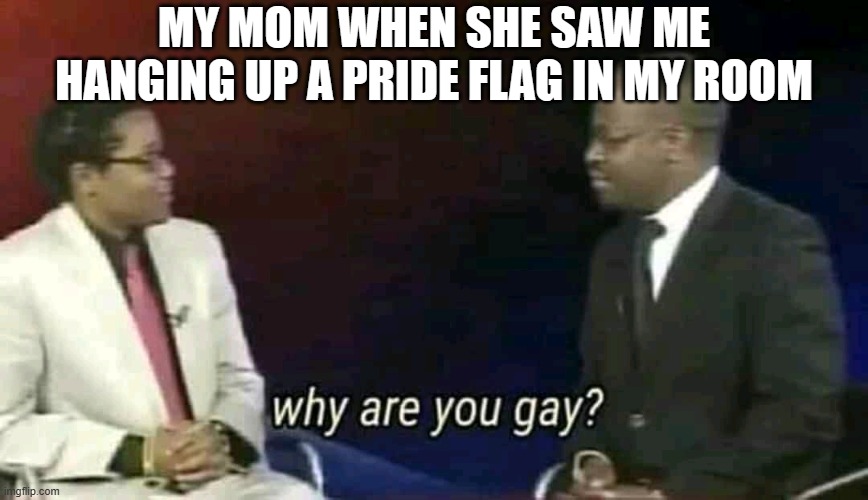 she's onto me | MY MOM WHEN SHE SAW ME HANGING UP A PRIDE FLAG IN MY ROOM | image tagged in why are you gay,memes,lgbtq,ur mom gay | made w/ Imgflip meme maker
