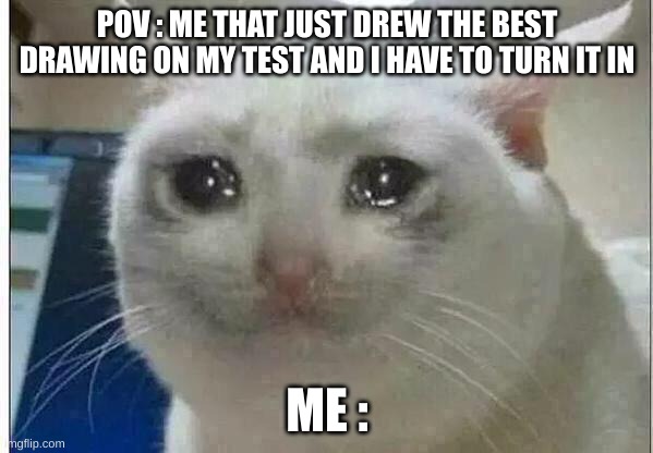 crying cat | POV : ME THAT JUST DREW THE BEST DRAWING ON MY TEST AND I HAVE TO TURN IT IN; ME : | image tagged in crying cat | made w/ Imgflip meme maker