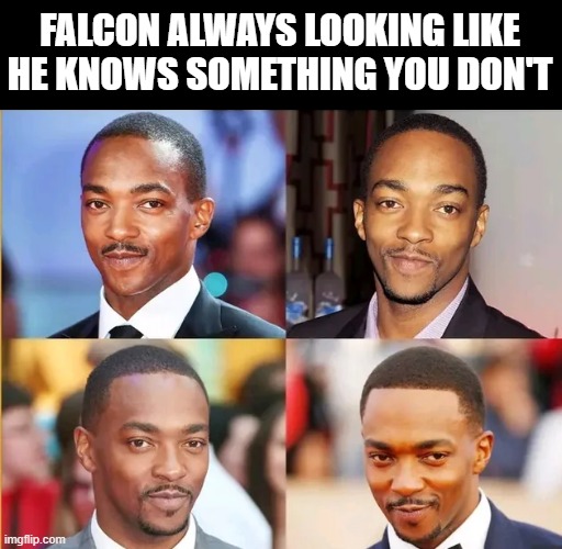 Falcon Look | FALCON ALWAYS LOOKING LIKE HE KNOWS SOMETHING YOU DON'T | image tagged in falcon | made w/ Imgflip meme maker