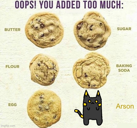 Oops, You Added Too Much | Arson | image tagged in oops you added too much | made w/ Imgflip meme maker