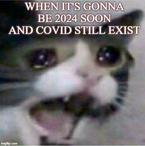 BRO IT'S ABOUT 2024 ALREADY AND COVID ????? IS AROUND!!!! | WHEN IT'S GONNA BE 2024 SOON AND COVID STILL EXIST | image tagged in crying cat,covid,gone,hope,2024,2023 | made w/ Imgflip meme maker