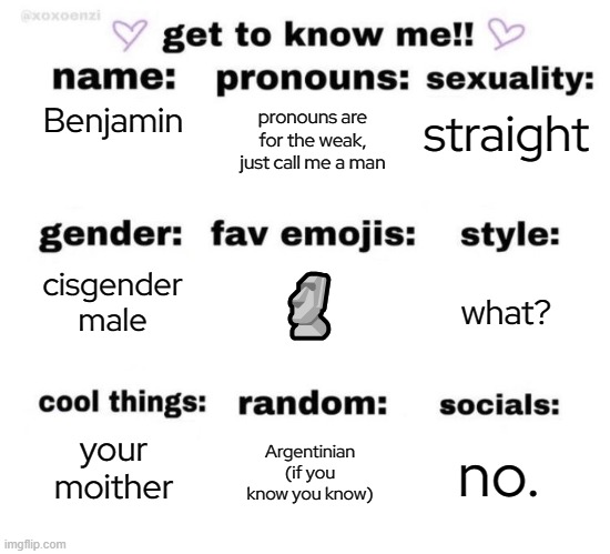 bread in French | pronouns are for the weak, just call me a man; Benjamin; straight; cisgender male; 🗿; what? your moither; Argentinian (if you know you know); no. | image tagged in get to know me | made w/ Imgflip meme maker