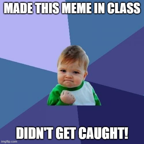 I actually did. | MADE THIS MEME IN CLASS; DIDN'T GET CAUGHT! | image tagged in memes,success kid | made w/ Imgflip meme maker