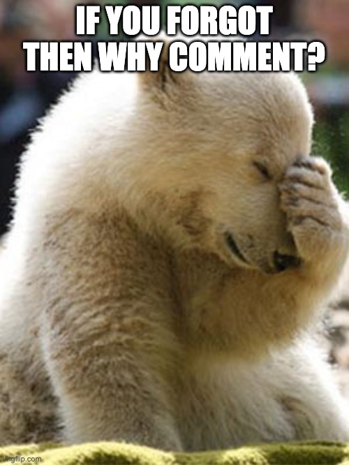 Facepalm Bear Meme | IF YOU FORGOT THEN WHY COMMENT? | image tagged in memes,facepalm bear | made w/ Imgflip meme maker