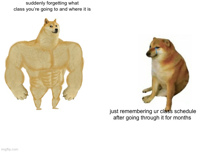 Buff Doge vs. Cheems Meme | suddenly forgetting what class you’re going to and where it is; just remembering ur class schedule after going through it for months | image tagged in memes,buff doge vs cheems | made w/ Imgflip meme maker