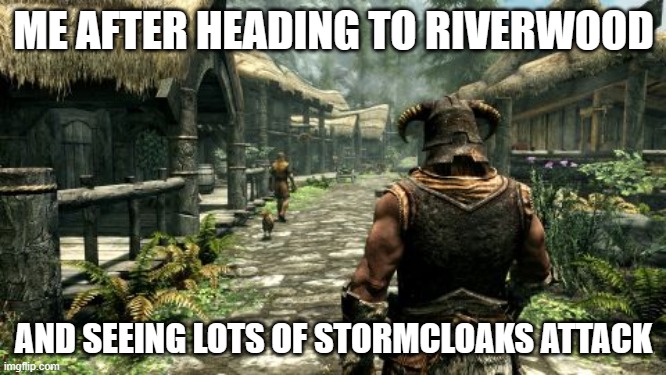 At it again at Riverwood | ME AFTER HEADING TO RIVERWOOD; AND SEEING LOTS OF STORMCLOAKS ATTACK | image tagged in skyrim here we go again | made w/ Imgflip meme maker