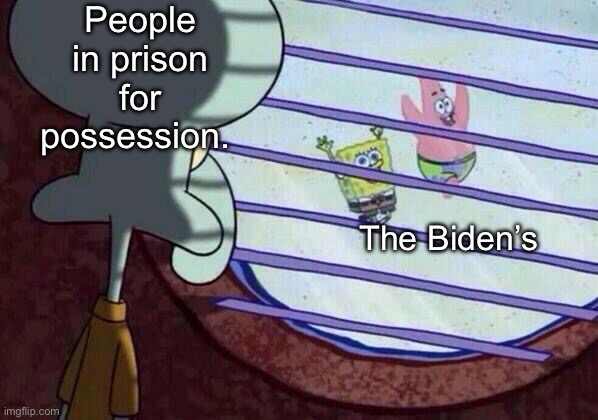 Regular people go to jail. The privileged class just laughs | People in prison for possession. The Biden’s | image tagged in squidward window,politics lol,memes | made w/ Imgflip meme maker