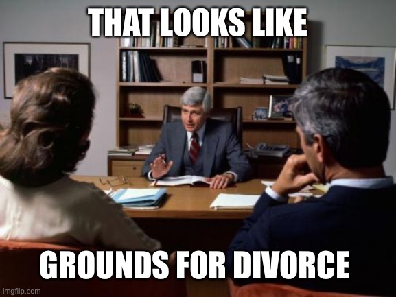 Divorce attorney | THAT LOOKS LIKE GROUNDS FOR DIVORCE | image tagged in divorce attorney | made w/ Imgflip meme maker