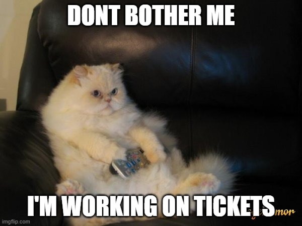 Fat Cat Watching TV Black Couch | DONT BOTHER ME; I'M WORKING ON TICKETS | image tagged in fat cat watching tv black couch | made w/ Imgflip meme maker